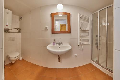 a bathroom with a sink and a shower and a toilet at POD SVATOU ANNOU - penzion a řízkovna in Horní Maršov
