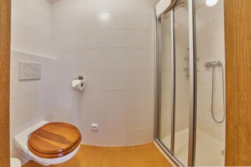 a bathroom with a shower and a toilet with a wooden seat at POD SVATOU ANNOU - penzion a řízkovna in Horní Maršov