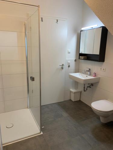 a bathroom with a shower and a toilet and a sink at Ferienwohnung Baselblick, Eimeldingen in Eimeldingen