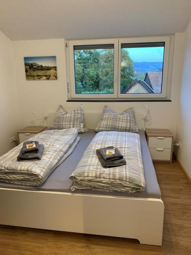 a bedroom with two beds and two windows at Ferienwohnung Baselblick, Eimeldingen in Eimeldingen