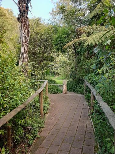 a wooden walkway in a park with a tree at Buena Vista Apartment in Marahau