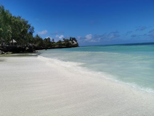 a beach with blue water and trees in the background at COCO REEF ECOLODGE in Kizimkazi