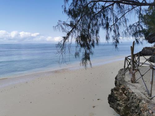 a beach with a bench and the ocean at COCO REEF ECOLODGE in Kizimkazi