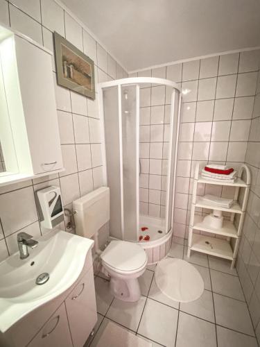 a bathroom with a toilet and a shower and a sink at Apartments Ars Vivendi in Trogir
