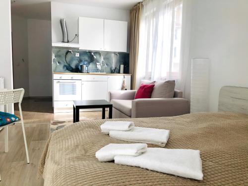 Zona d'estar a Temerso Studio-Apartment