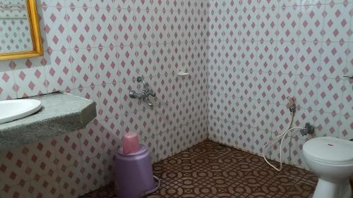 a bathroom with a white toilet and a sink at Kishkinda Heritage Resort in Hampi