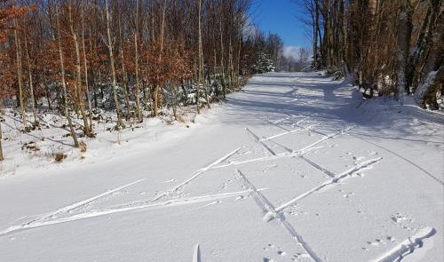 a snow covered road with tracks in the snow at Appartement Hauzenberg-Panorama in Hauzenberg