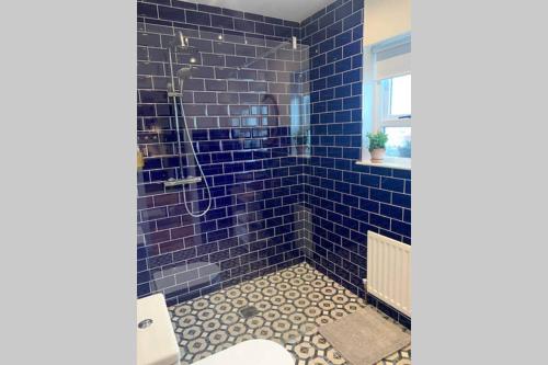 ein blau gefliestes Bad mit einer Dusche und einem WC in der Unterkunft The Lambing Shed at Walkmill Farm in Bushmills