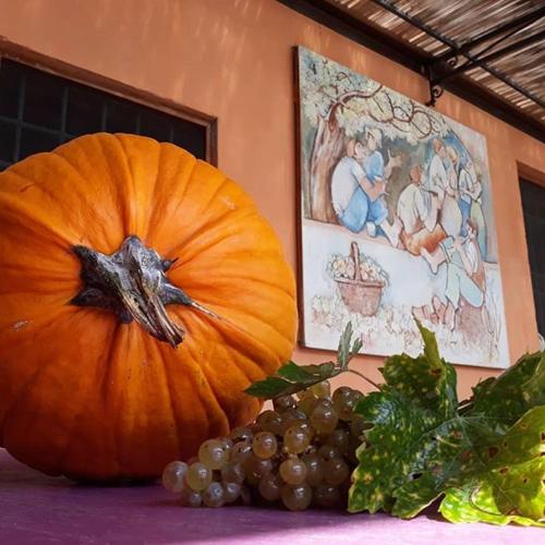 a pumpkin and a bunch of grapes on a table at La Torre wine resort in Montecarlo