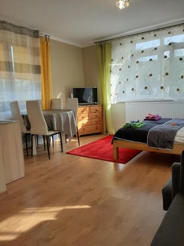 a bedroom with a rock climbing wall and a dining room at Willa Babia Góra in Zawoja