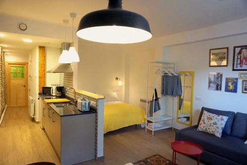 洛格羅尼奧的住宿－Casa Eladia，带厨房的房间和一间带一张床的卧室