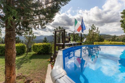 a swimming pool with a slide next to a tree at Ca' Lilli in Cantiano
