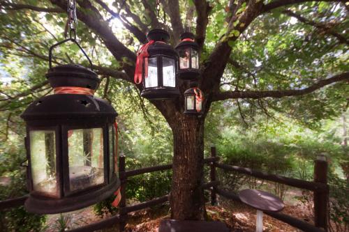 three lights on a tree next to a fence at Ca' Lilli in Cantiano