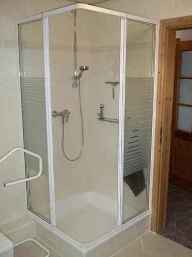 a shower with a glass enclosure in a bathroom at Apartment Wuhrt in Barsbek