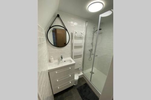 La salle de bains est pourvue d'un miroir, d'un lavabo et d'une douche. dans l'établissement Le Plongeoir de Bon-Secours, à Saint-Malo