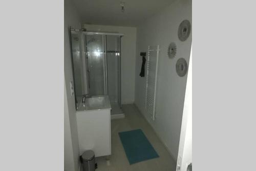 un piccolo bagno con lavandino e doccia di Maison de bourg avec beaucoup de charme a Nuillé-sur-Vicoin