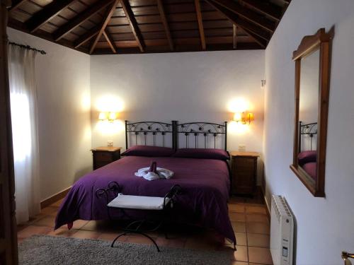 1 dormitorio con 1 cama con sábanas moradas y espejo en Casa rural Los Llanos Negros, en Fuencaliente de la Palma