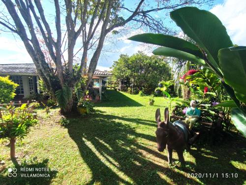 a donkey pulling a child in a cart in a yard at Villa Monica in Montenegro