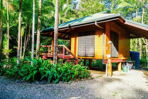 a small cabin with a porch in the woods at Wildwood in Cape Tribulation