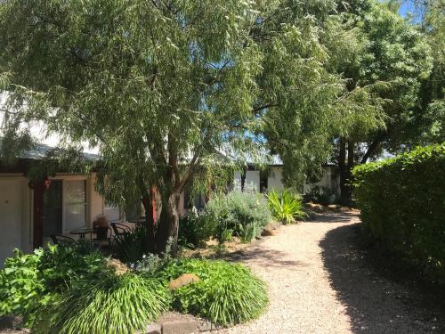 drzewo obok domu z ogrodem w obiekcie Quamby Homestead w mieście Woolsthorpe