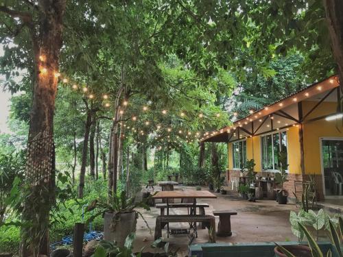 une terrasse avec une table de pique-nique et des lumières sous les arbres dans l'établissement Promma Farm Resort, à Ban Tat Ton (1)