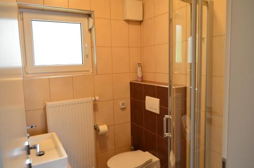 a small bathroom with a toilet and a window at Apartments Sofija in Bled