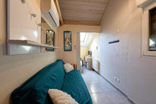 Le Coeur des Alpes في Marnaz: غرفة معيشة مع أريكة خضراء في غرفة