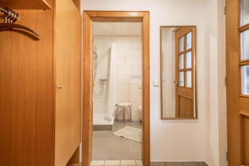 une salle de bain avec douche, toilettes et miroir dans l'établissement Obstgarten, à Lindau