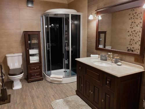 a bathroom with a shower and a toilet and a sink at Hostynnyy Dvir Apartament Hotel & SPA in Slavske
