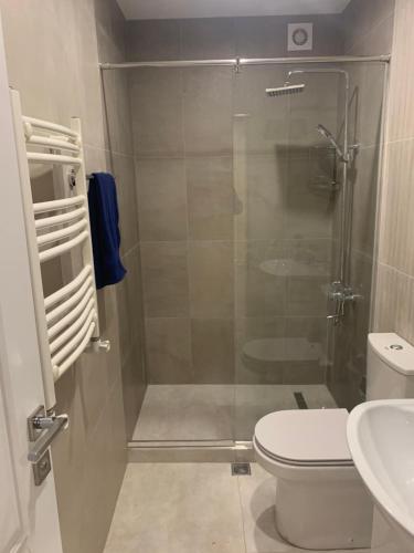 een badkamer met een douche, een toilet en een wastafel bij Art Apart 5 in Jerevan