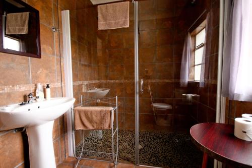 a bathroom with a shower and a sink at Kweekkraal Guest Farm in Riversdale