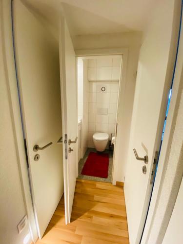 Crans-Montana Stunning Southview Flat