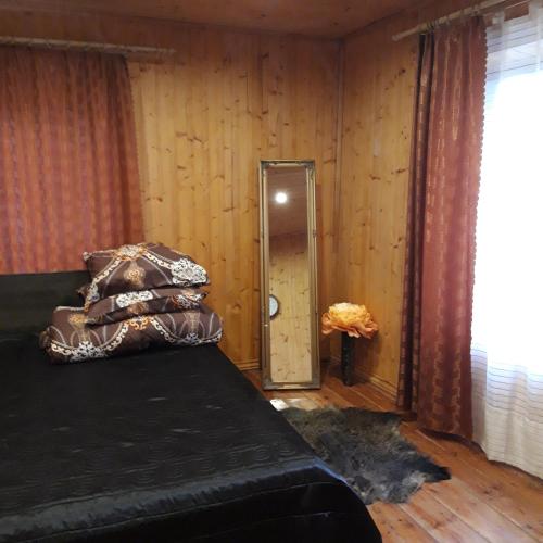 1 dormitorio con cama con almohadas y espejo en Lauku māja Riesti, 