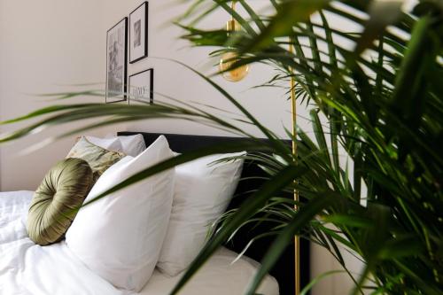 a plant sitting next to a bed with white pillows at Boutique Hotel 43 in Koog aan de Zaan