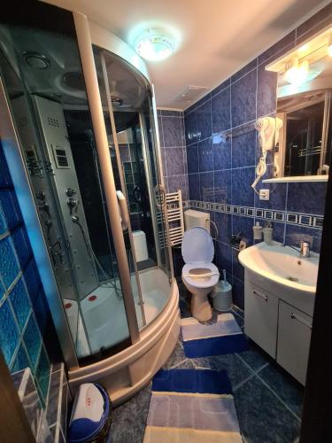 a bathroom with a shower and a toilet and a sink at VILA VALENCIA in Azuga
