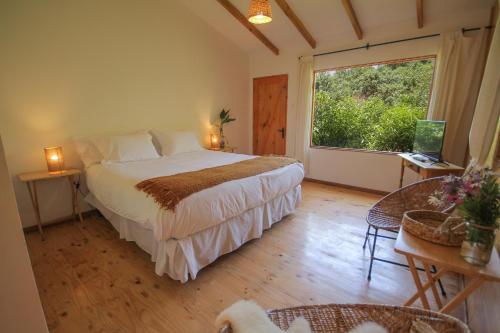 Postel nebo postele na pokoji v ubytování El Arbol Eco Lodge