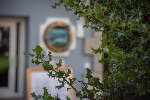 a mirror on the side of a building with a tree at Hotel Sablón in Llanes