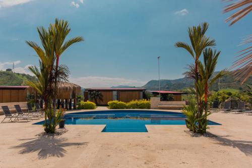 馬尼薩萊斯的住宿－Hotel Resort Del Cafe，一个带游泳池和棕榈树的度假村
