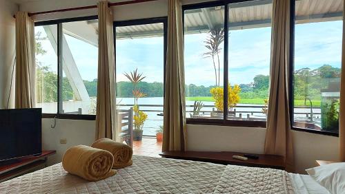 Postel nebo postele na pokoji v ubytování Tortuguero Adventures GuestHouse