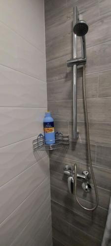 a bathroom with a shower with a bottle of hand soap at APARTMAN studio DADO in Užice