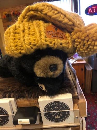 a stuffed teddy bear wearing a hat on its head at Spearfish Canyon Lodge in Spearfish