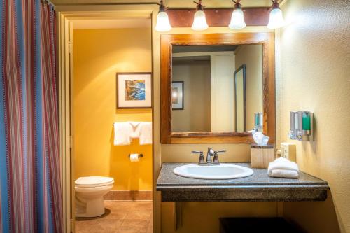 a bathroom with a sink and a mirror and a toilet at Yosemite Valley Lodge in Yosemite Village
