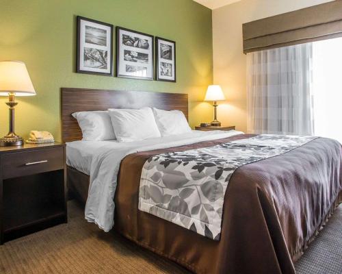 1 cama grande en una habitación de hotel con 2 lámparas en Sleep Inn & Suites, en Wisconsin Rapids