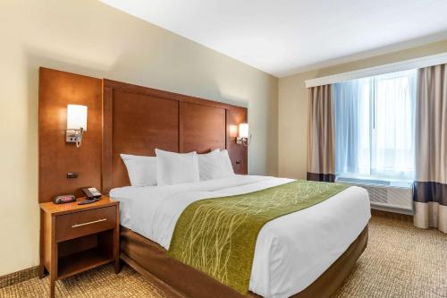 Comfort Suites San Antonio Ft Sam Houston-SAMMC Area Image