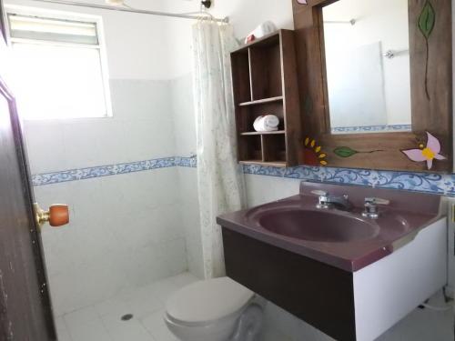 a bathroom with a sink and a toilet and a mirror at Posada Rural Villa Rouse in Guachantivá
