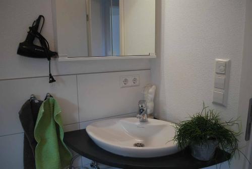W łazience znajduje się umywalka i lustro. w obiekcie Ruheoase am Forggensee w mieście Rieden
