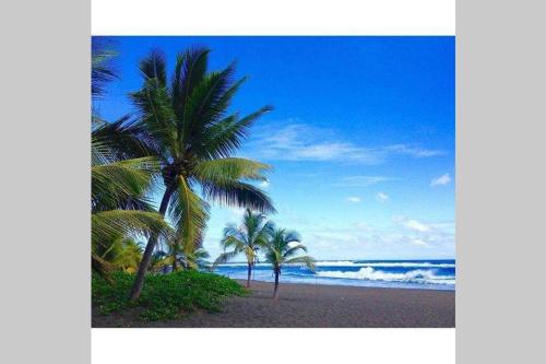 a view of a beach with palm trees and the ocean at VILLA LORET in Étang-Salé