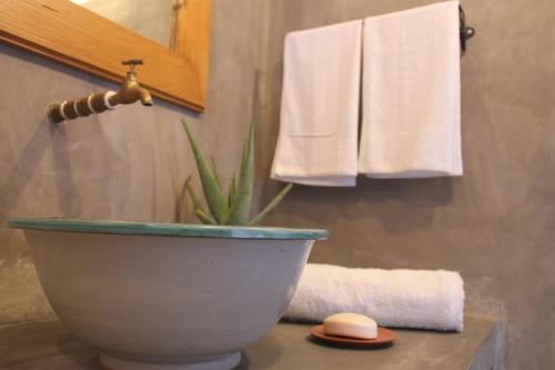 サン・フィリペにあるLa Fora Ecolodgeのバスルーム(植物入り、タオル付)
