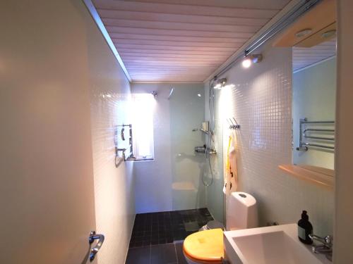 ein Badezimmer mit einem Waschbecken, einem WC und einem Spiegel in der Unterkunft Stayin Borgafjäll - Tuffa Lillan - Bo bakom hotellet in Borgafjäll