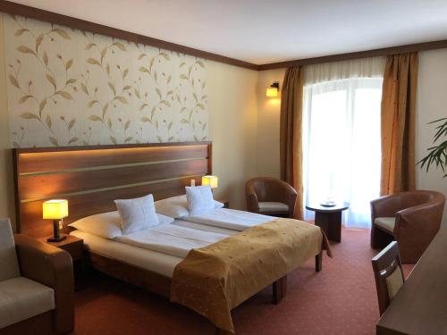 テルキバーニャにあるAranybánya Hotelのベッド1台と椅子2脚が備わるホテルルームです。